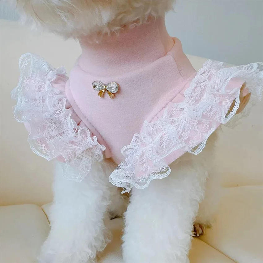 Pet Clothing Autumn and Winter - đánh giá và giá Lace Teddy Lingerie