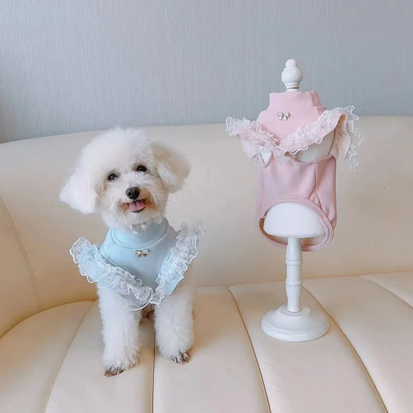 Pet Clothing Autumn and Winter - đánh giá và giá Lace Teddy Lingerie