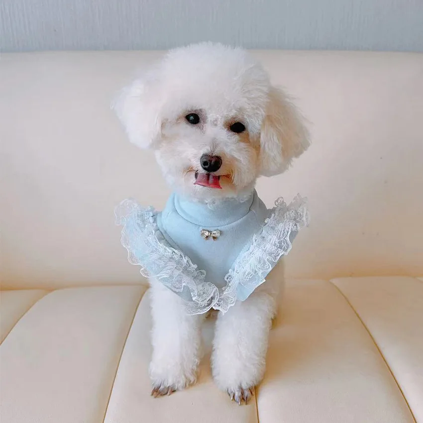 Pet Clothing Autumn and Winter - đánh giá và giá Lace Teddy Lingerie